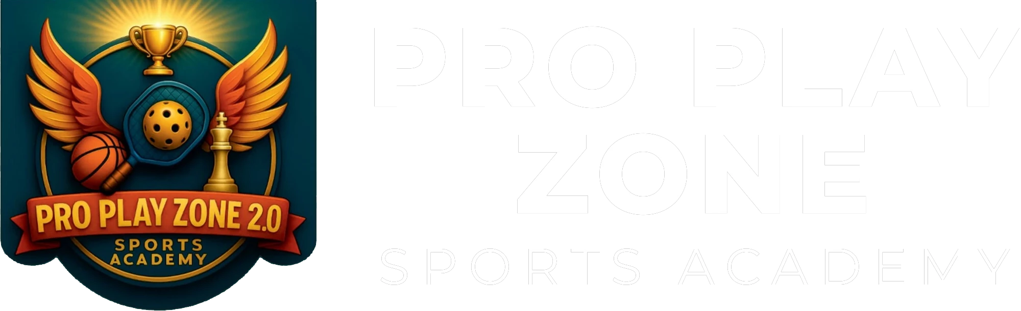 Pro Play Zone